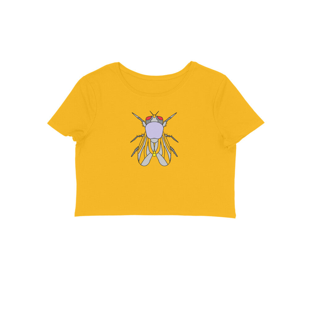 Front View - 5656694