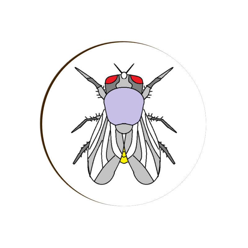 Front View - 5656735