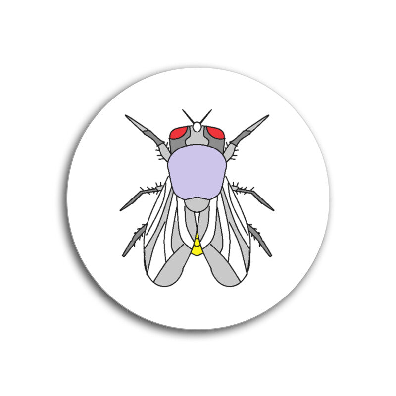 Front View - 5656737