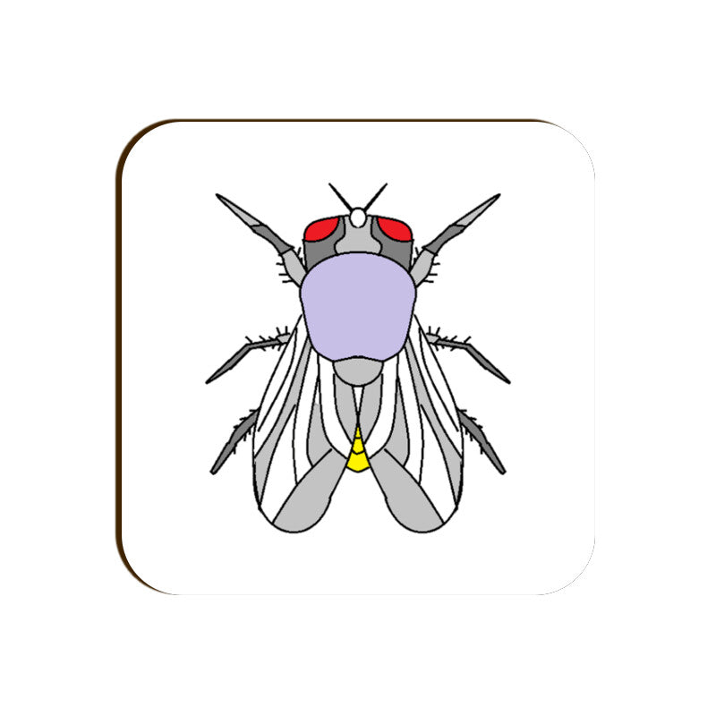 Front View - 5656738