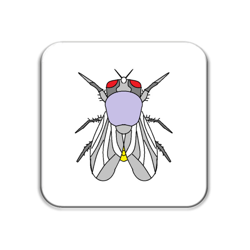 Front View - 5656739