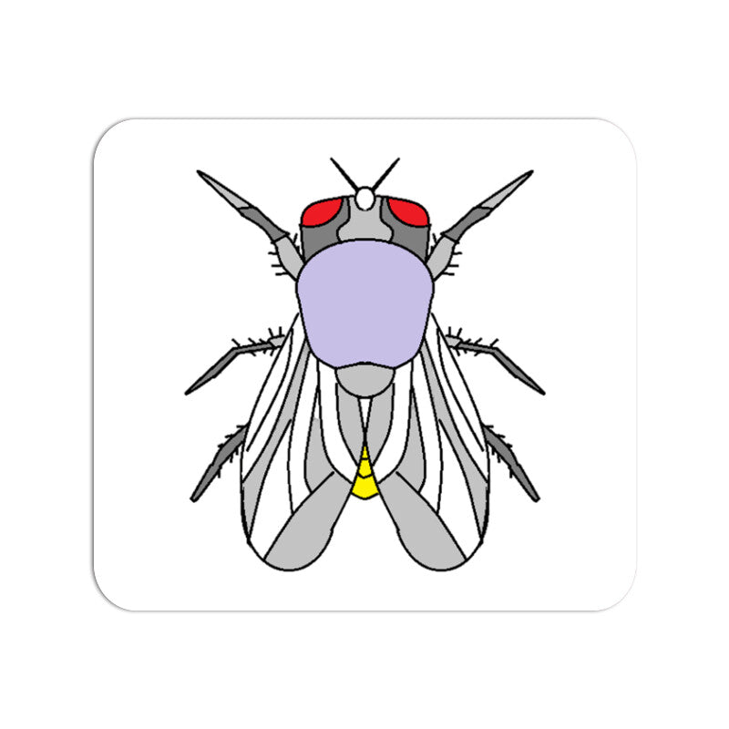 Front View - 5656740