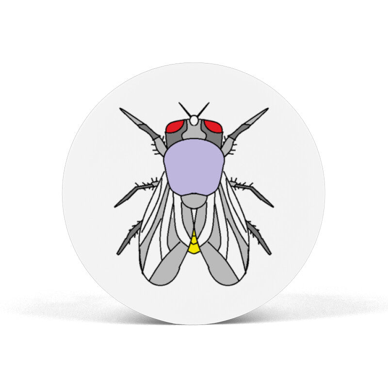 Front View - 5656744